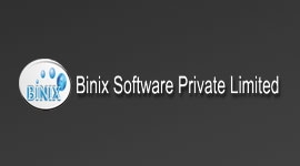 Binix Control Systems